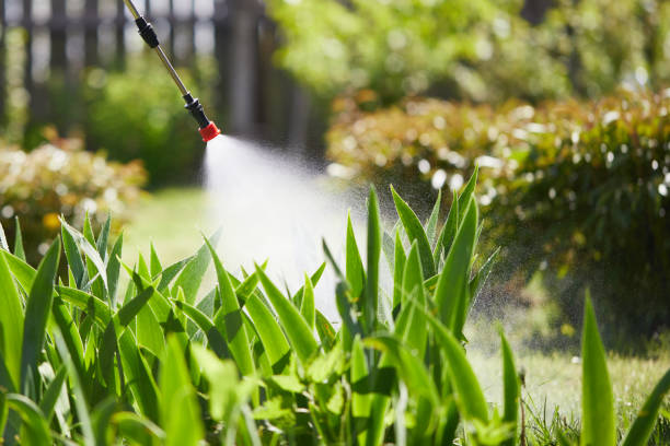 Tamper-Resistant Bait Stations for Rodents in Centuria