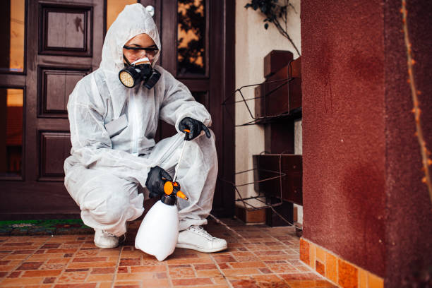 Attic and Crawl Space Rodent Treatment in Centuria